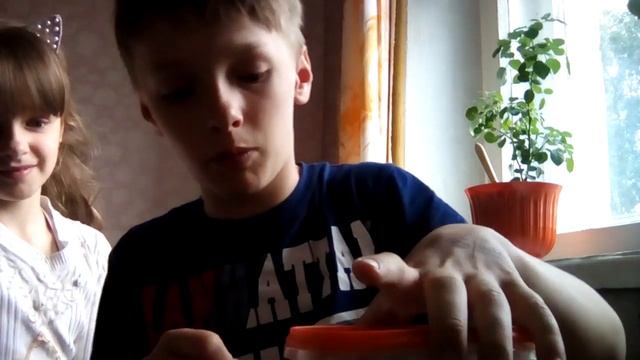 Как сделать террариум!!!Мой первый террариум смотреть онлайн