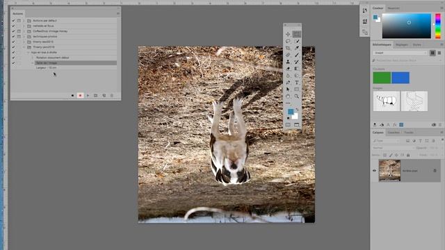 PS 2016 janvier partie 103 formation Adobe Photoshop par Thierry Dambermont 720 04min смотреть онлайн
