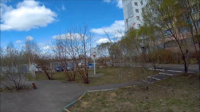Прогулка выходного дня. смотреть онлайн