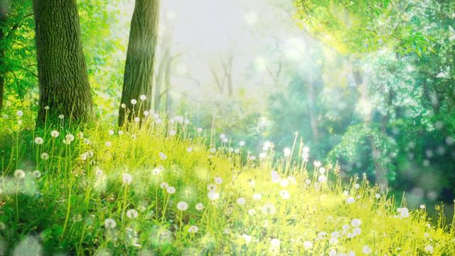 Heal Your INNER CHILD Guided Meditation. Emotional Healing For Your Younger Self, Feel Better Today смотреть онлайн