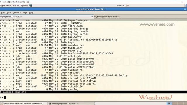 Executing OS Commands from RMAN смотреть онлайн