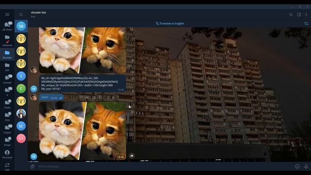 Хранить и отправлять картинки в AIOgram 3.x | Python Telegram Bot смотреть онлайн