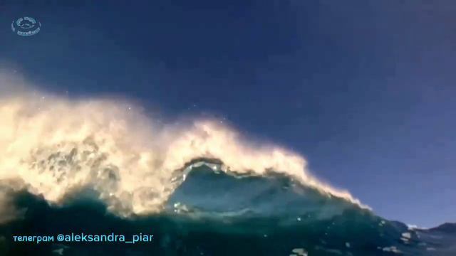 Твой тонкий аромат Шанель смотреть онлайн