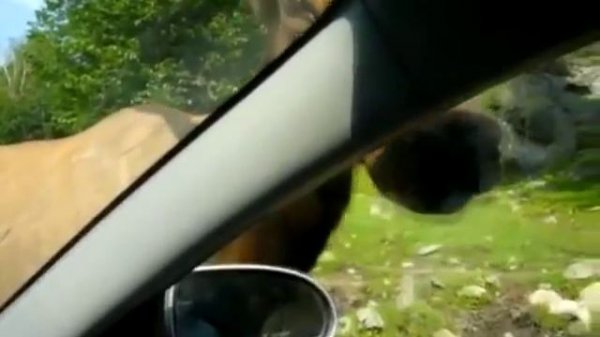 Презентация: Липча Татьяна Анатольевна