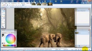 Paint.net. Урок 4. Создание простой рамки