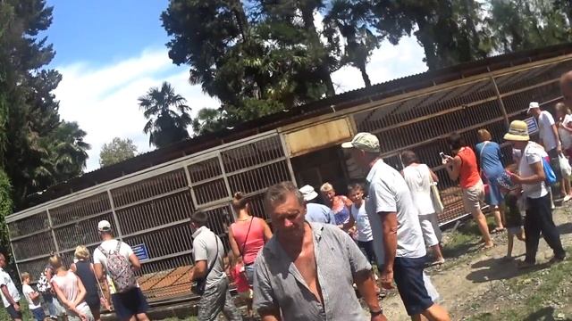 Обезьяний Питомник в Сухуме Абхазия Экскурсия 2017 смотреть онлайн