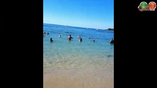 обзор отеля Otium Ozkaymak Select 5* отели на первой линии... смотреть онлайн