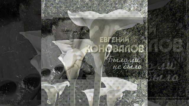 Е. Коновалов, было или не было смотреть онлайн
