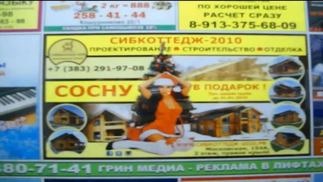 Сосну в подарок из Новосибирска с любовью! смотреть онлайн