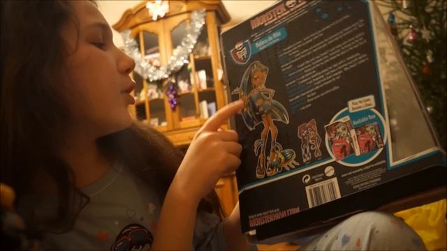 Что мне подарил ДЕД МОРОЗ? 2013  MONSTER HIGH