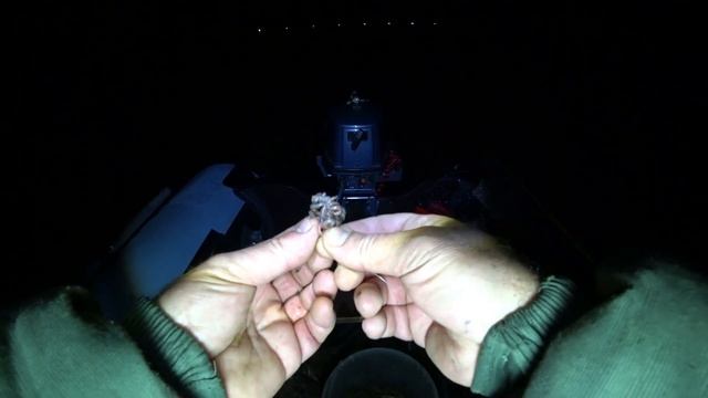 ВОТ КАКИЕ ЛОПАТЫ КЛЮЮТ НА ПУЧКИ ЧЕРВЕЙ/ ловля леща ночью с лодки