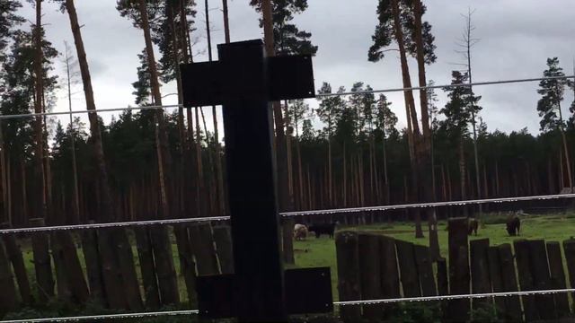 Ярославский зоопарк. Часть 1 (6.08.19г)