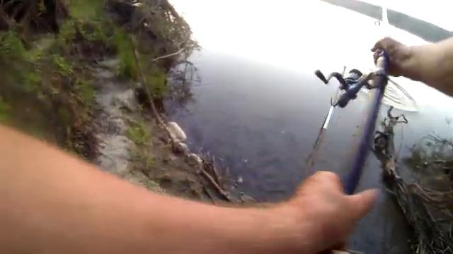 Летний вечер на Иртыше 1 августа 2022 г movie смотреть онлайн