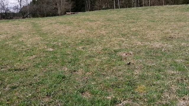 НАШЕЛ странный объект. НЕМЦЫ тут ходили 100 лет назад, и творили свои делишки смотреть онлайн