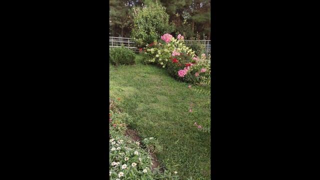 Путеводитель по Ташкенту. Достопримечательности. Современный Ташкент. 2023. Tashkent Uzbekistan