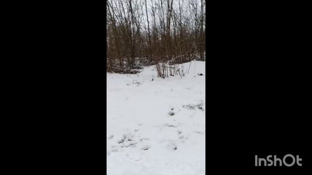 РЫНОК/ЦЕНЫ НА ПРОДУКТЫ/ЯЙЦА ПОДОРОЖАЛИ/ смотреть онлайн