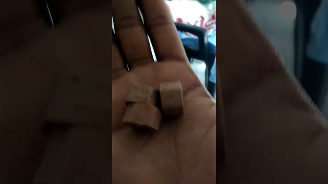 Dog for vitamins and calcium смотреть онлайн