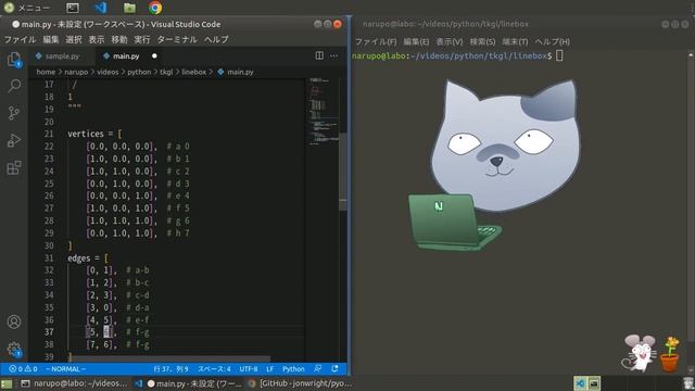 PythonとOpenGLで線分の四角形を描画する【Tkinter】 смотреть онлайн