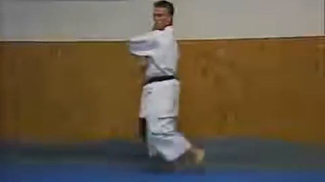Taikyoku Nidan Тейкёку Нидан