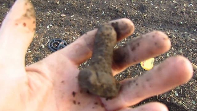 Обзор Garrett ACE250 для интернет-магазина Проф-Искатель