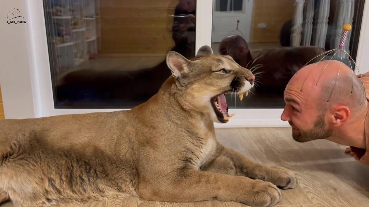 Месси и очень настойчивый массажист.