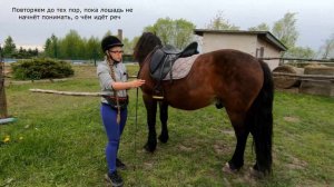 Лошадь не даёт на себя сесть! Часть2 Как научить лошадь стоять при посадке всадника?