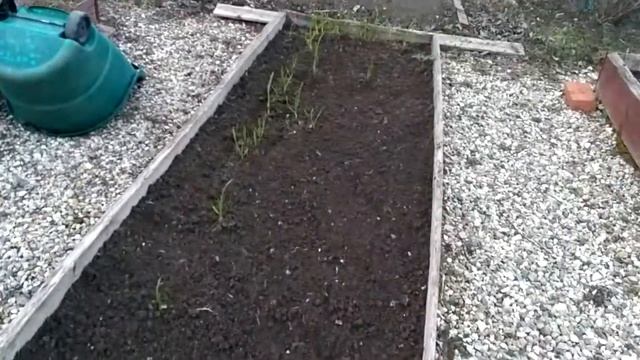 Грядки в порядок после зимы смотреть онлайн