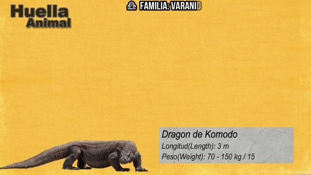 Animales Extintos Vs Animales Vivos | Comparacion De Tamaño