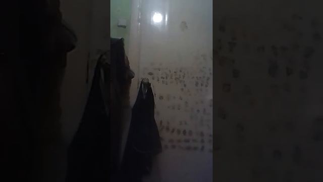 Можно смотреть только если вам 9 лет смотреть онлайн