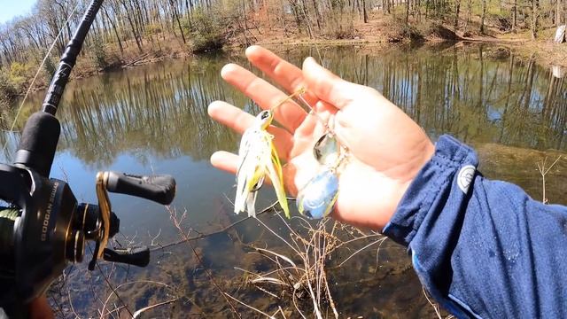 The MOST RIDICULOUS Fish Catch I'VE EVER SEEN!!! смотреть онлайн