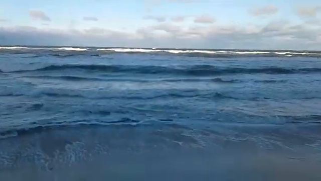 Балтийское море Куршская коса вечер смотреть онлайн