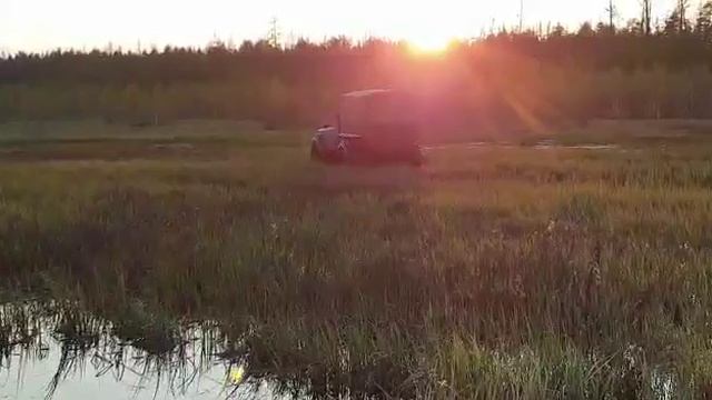 Тундра в деле. смотреть онлайн