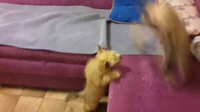 Ellis children смотреть онлайн