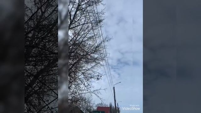 Забрал треногу и отвёз в отдел полиции !!! Беззаконие!!! Справедливость восторжествовала!!! смотреть онлайн