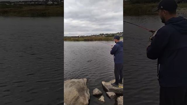 микроджиг рыбалка в Челябинске как надо рыбачить смотреть всем окунь на микроджиг смотреть онлайн