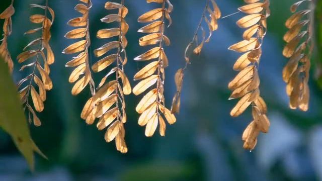 Pictures taken with SONY H400 Camera смотреть онлайн