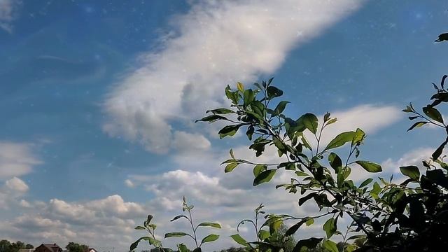 Вселенская родительская суббота. Поминовение всех усопших перед днем Пресвятой Троицы. смотреть онлайн