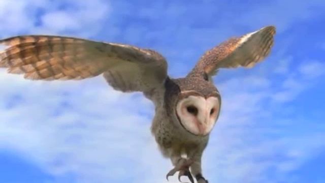 Ang Sang Wahe Guru Meditacion para la paz смотреть онлайн