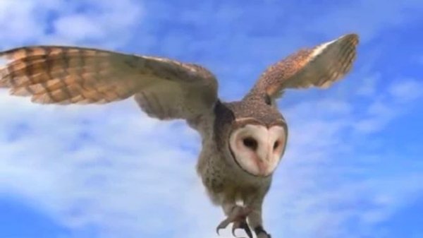 Ang Sang Wahe Guru Meditacion para la paz