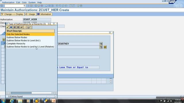 31.Reporting Hierarchy Node Var Authorization Processing Type part 4 смотреть онлайн
