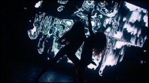 ЛУНА Дельфины