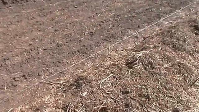 Влог "Органическое земледелие на 2016 год" смотреть онлайн