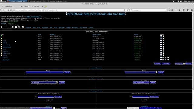 Command Injection смотреть онлайн