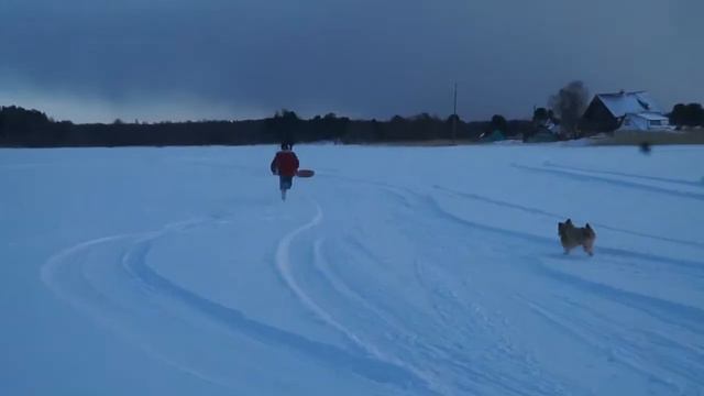 Драйв Гарниц смотреть онлайн