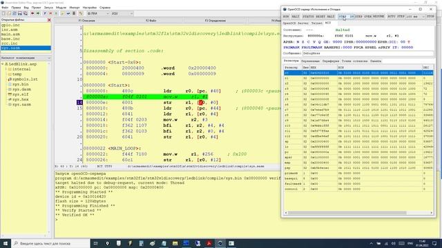 ArmAsmEditor: STM32 на Ассемблере: Вводное видео. Видео 1. смотреть онлайн