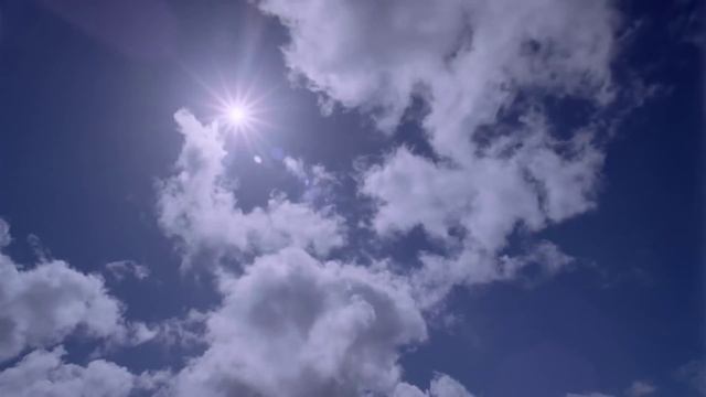 Прошу прощения смотреть онлайн