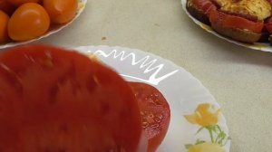 ТОМАТ "КОРОЛЬ ЛОНДОН". №209. ДЕГУСТАЦИЯ. Ольга Чернова.