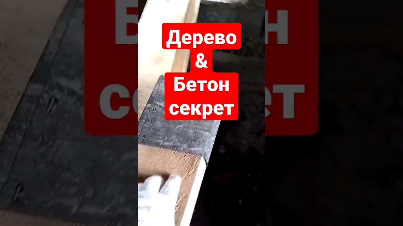 Дерево бетон #братьязахарята #zахарята #максимзахаров смотреть онлайн