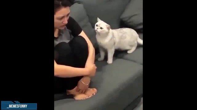 MEMESFUNNY _Funny Moments 01 _