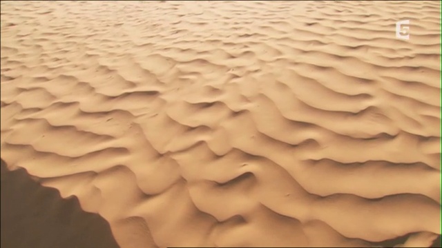 Afrique Sauvage - Le Sahara 